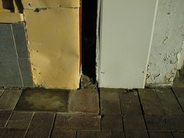 5image19