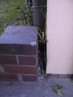 pic10_1