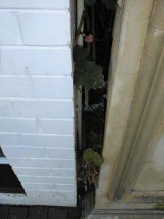 pic6_1