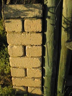 pic8_1