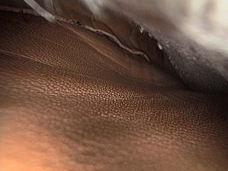 body4