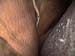 body18